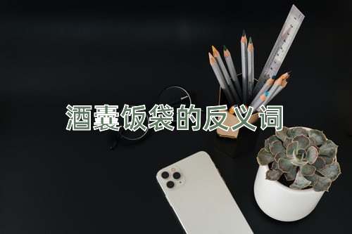 酒囊饭袋的反义词