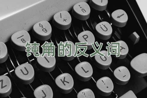 钝角的反义词