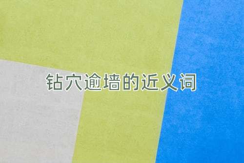钻穴逾墙的近义词
