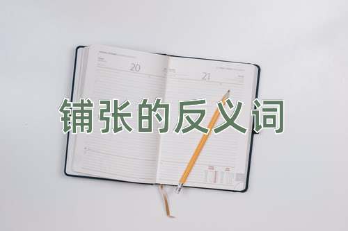 铺张的反义词