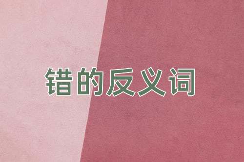错的反义词