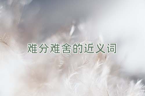 难分难舍的近义词