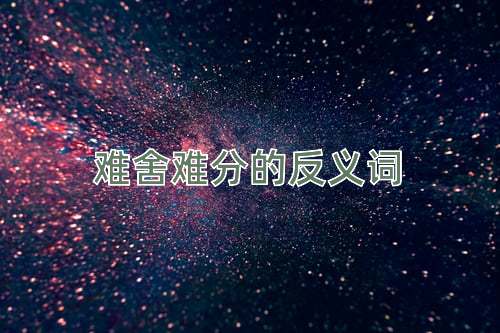 难舍难分的反义词