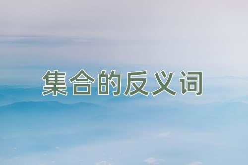 集合的反义词