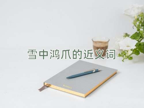 雪中鸿爪的近义词