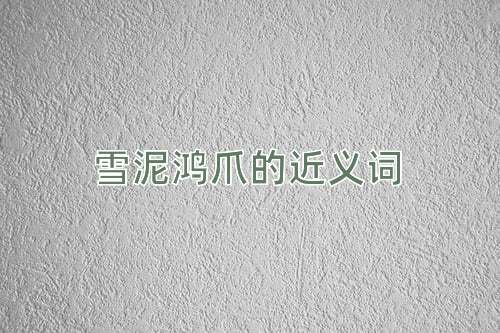 雪泥鸿爪的近义词