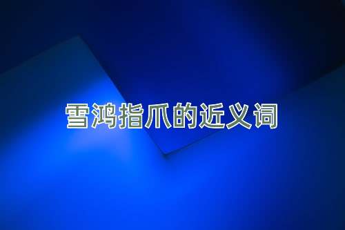 雪鸿指爪的近义词