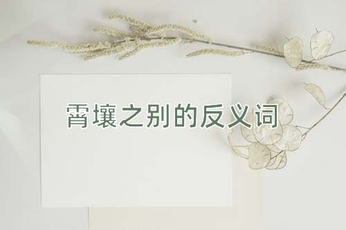 霄壤之别的反义词