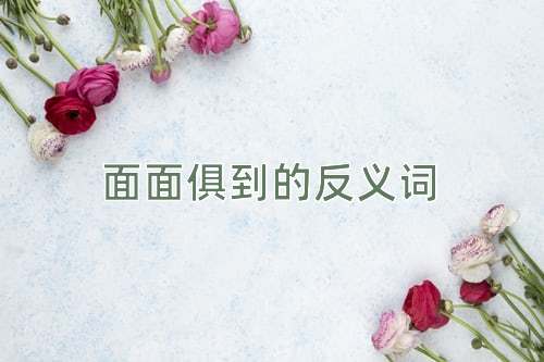 面面俱到的反义词