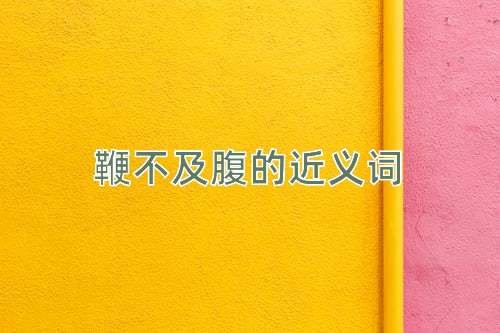 鞭不及腹的近义词
