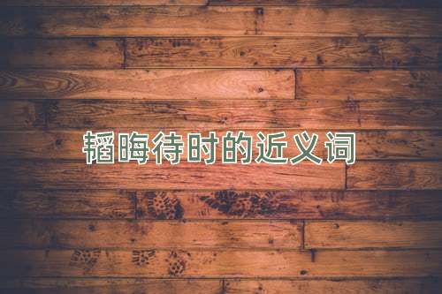韬晦待时的近义词