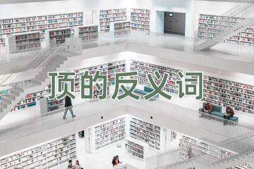 顶的反义词