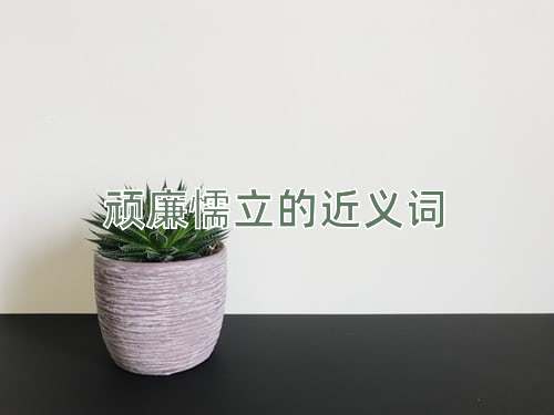 顽廉懦立的近义词