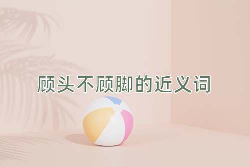 顾头不顾脚的近义词