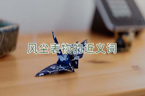 风尘表物的近义词