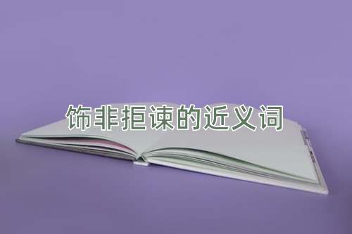 饰非拒谏的近义词
