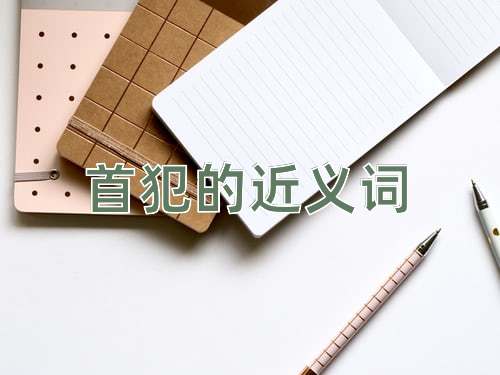 首犯的近义词