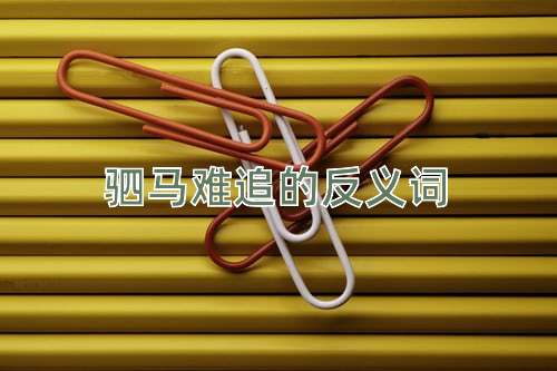 驷马难追的反义词