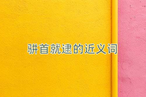 骈首就逮的近义词