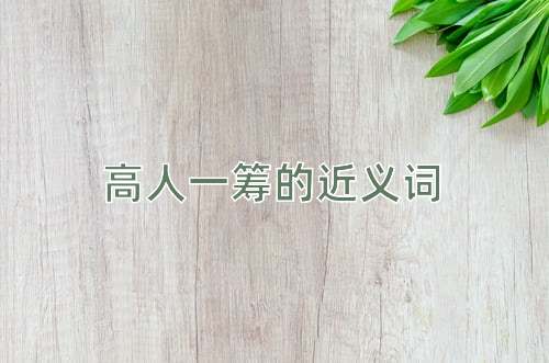 高人一筹的近义词