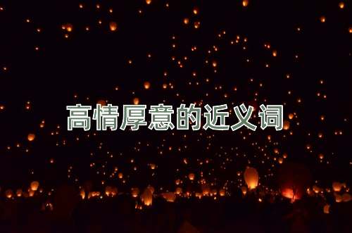 高情厚意的近义词
