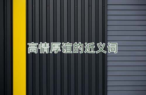 高情厚谊的近义词
