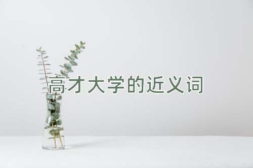 高才大学的近义词