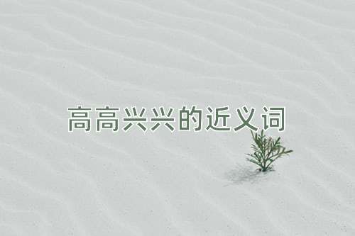 高高兴兴的近义词