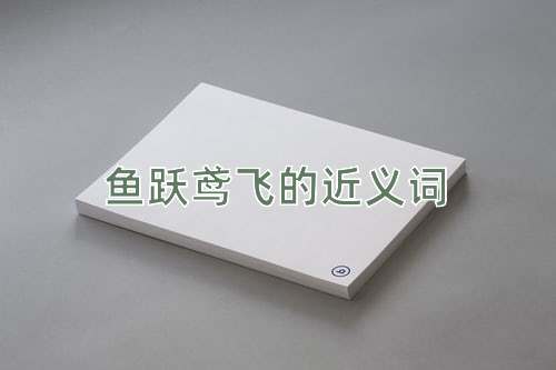 鱼跃鸢飞的近义词