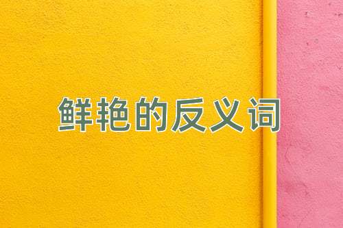 鲜艳的反义词