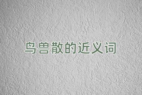 鸟兽散的近义词