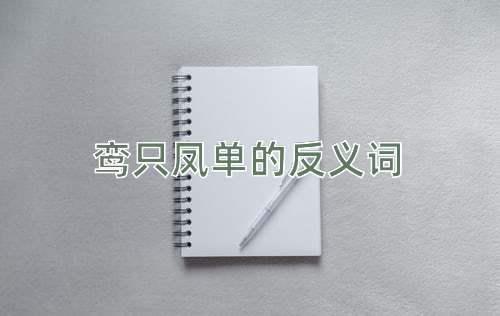 鸾只凤单的反义词