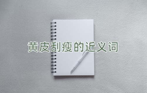 黄皮刮瘦的近义词