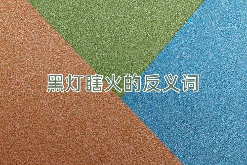 黑灯瞎火的反义词