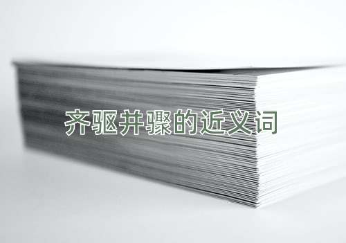 齐驱并骤的近义词