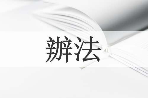 辦法