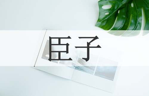 臣子