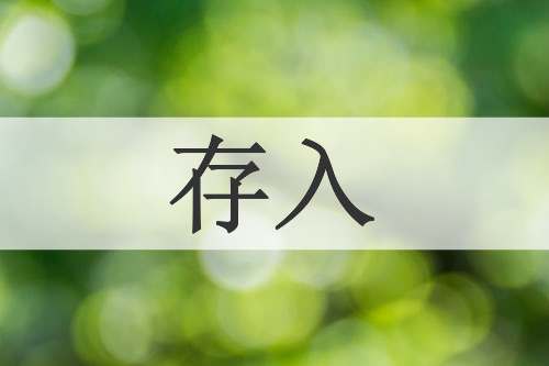 存入