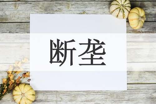 断垄