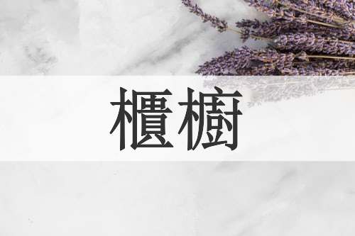 櫃櫥