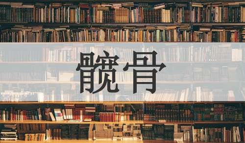 髋骨