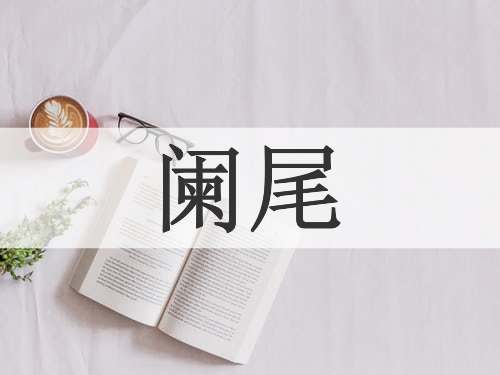 阑尾