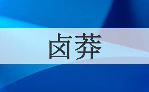 卤莽