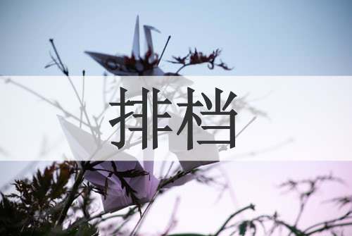 排档