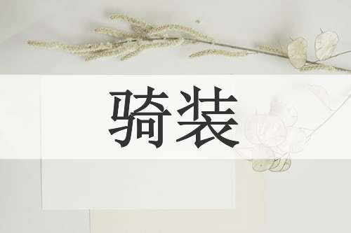 骑装