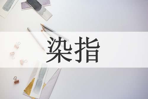 染指