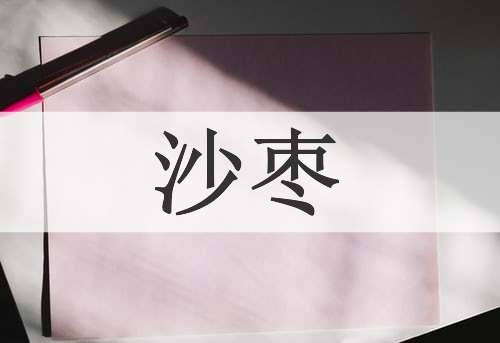 沙枣
