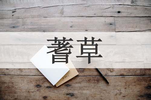 蓍草