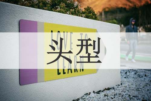头型
