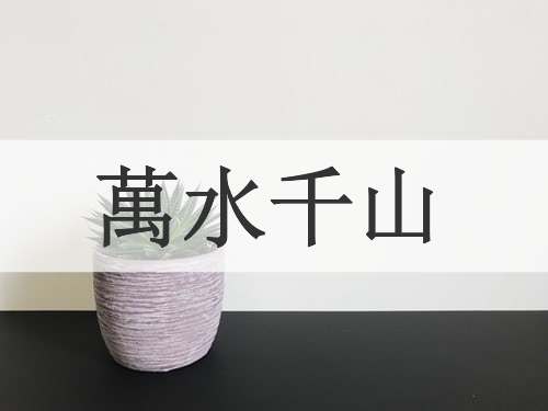 萬水千山